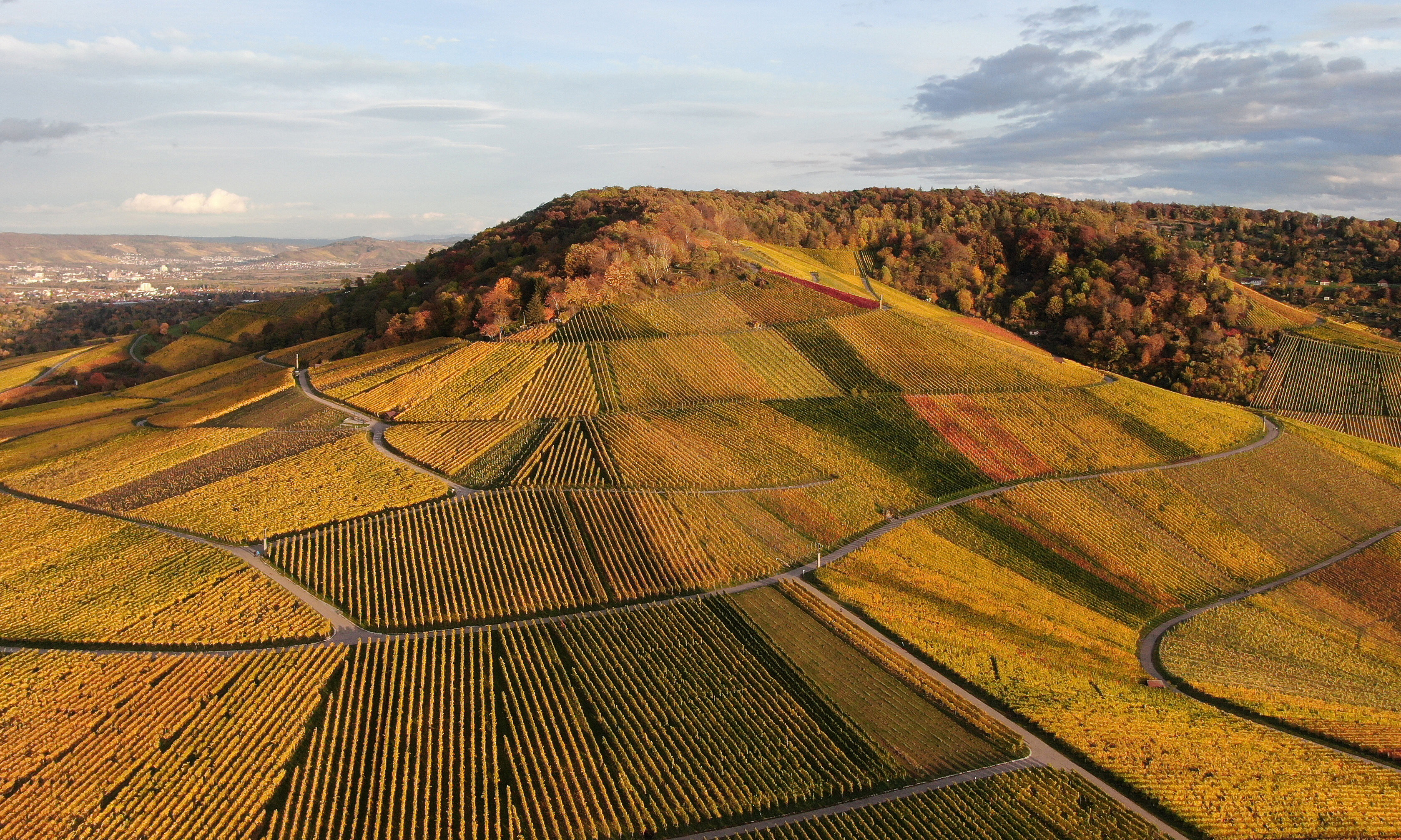Fellbacher Herbst Erntedank- & Weinfest