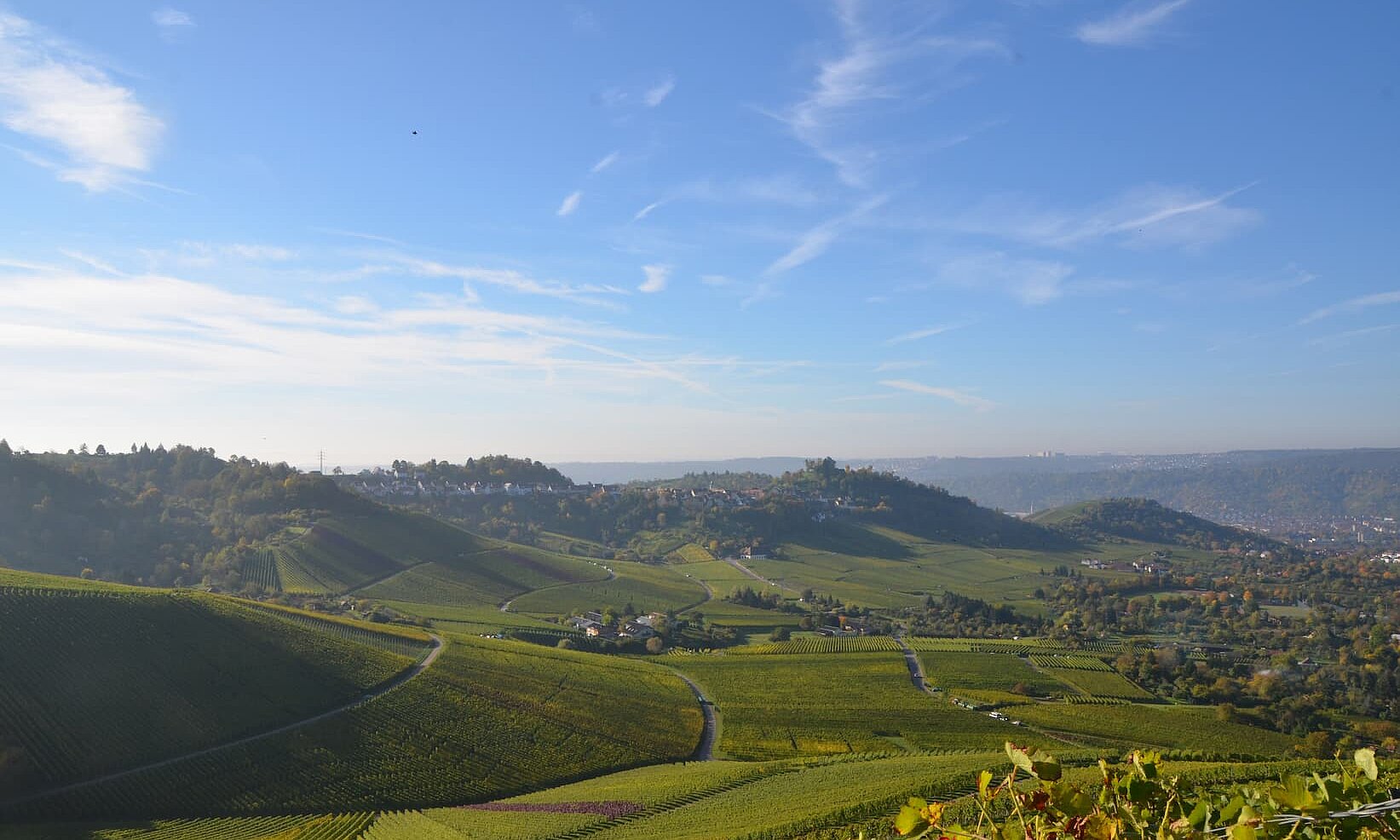 4. Stuttgarter Landweintreff 