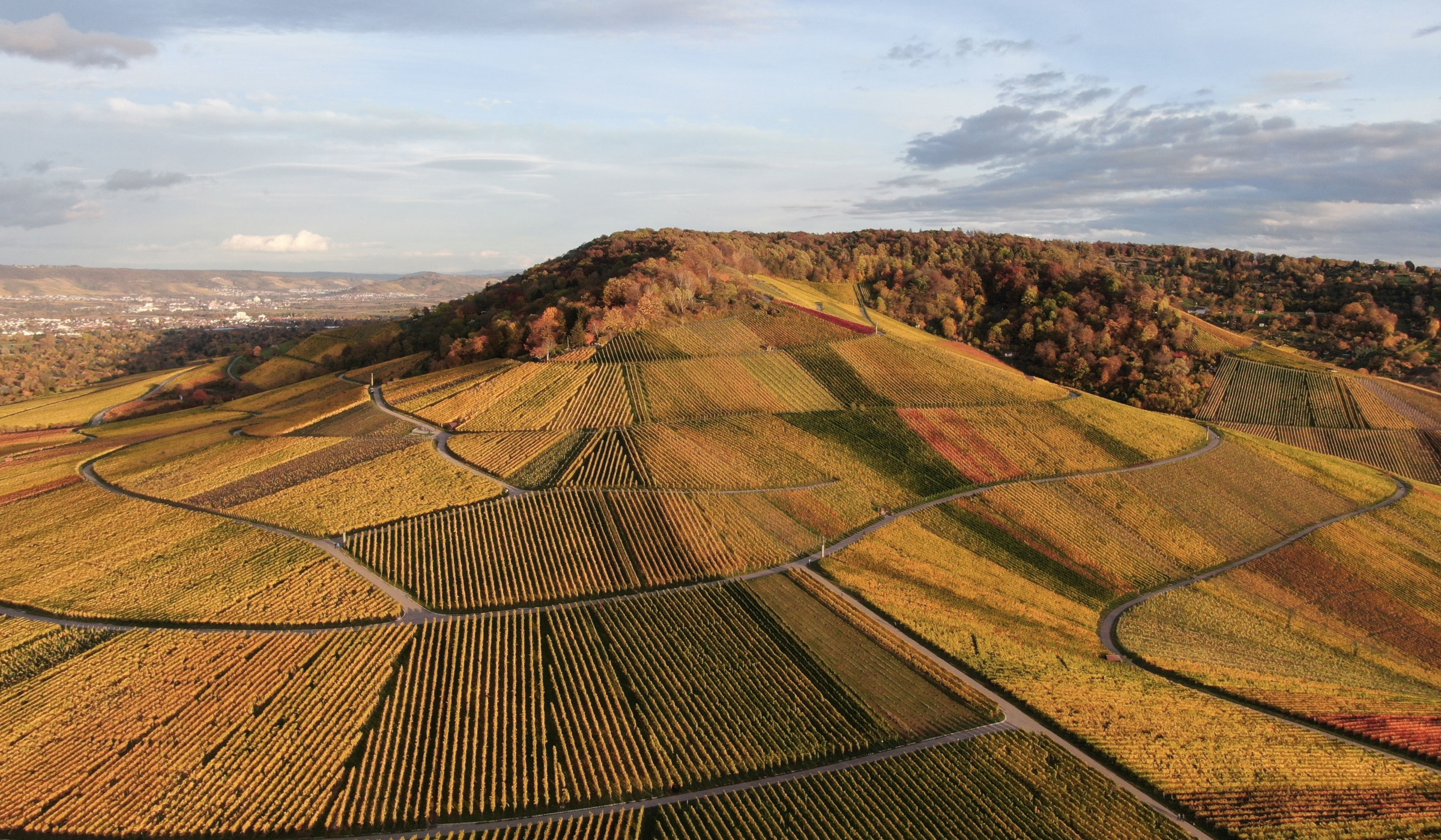 Luftaufnahme von sanften Hügeln mit Weinbergen, gewundenen Straßen, grünen und goldenen Feldern und einer bewaldeten Hügelkuppe unter einem teilweise bewölkten Himmel.